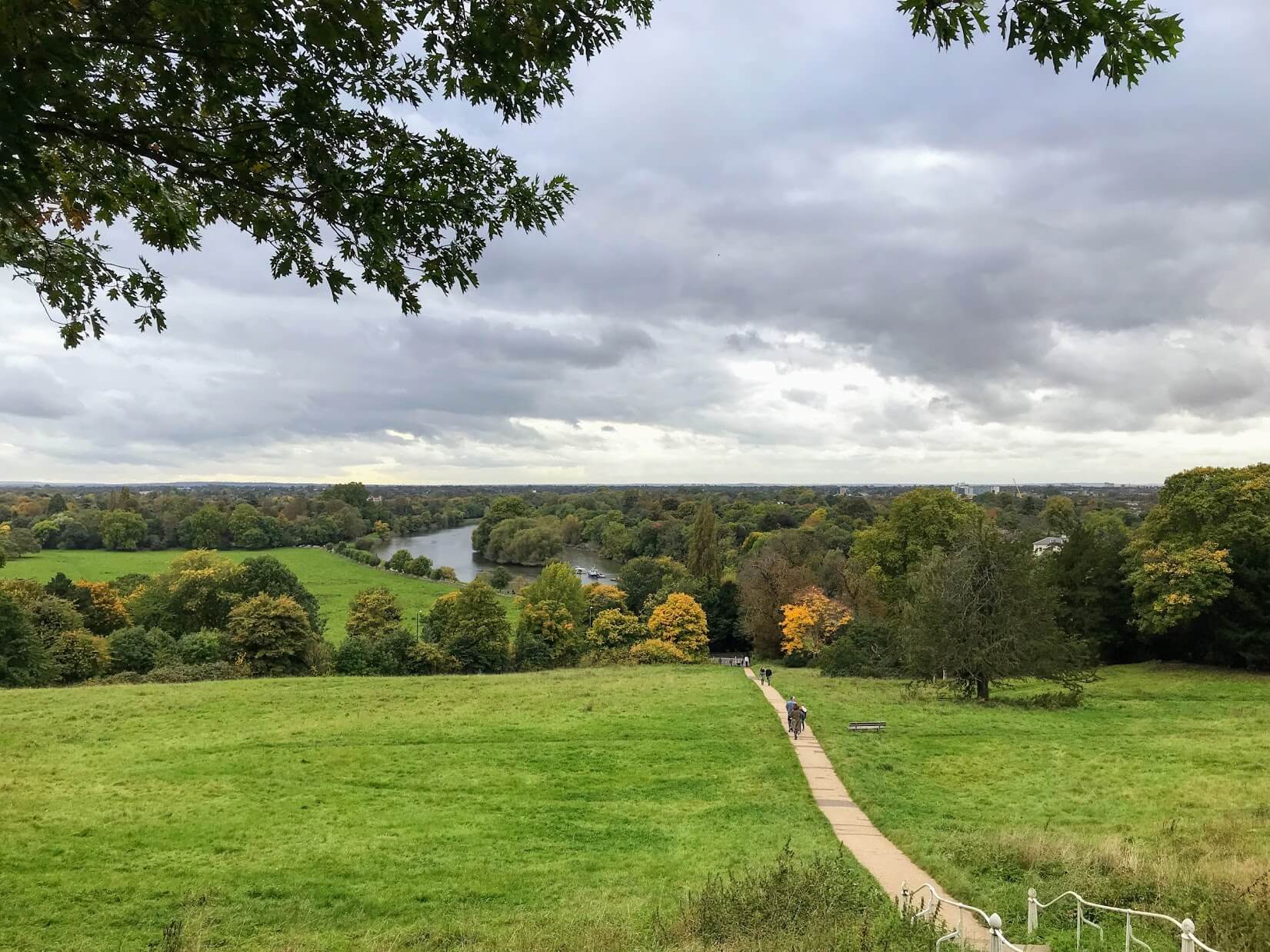 The Terrace on Richmond Hill